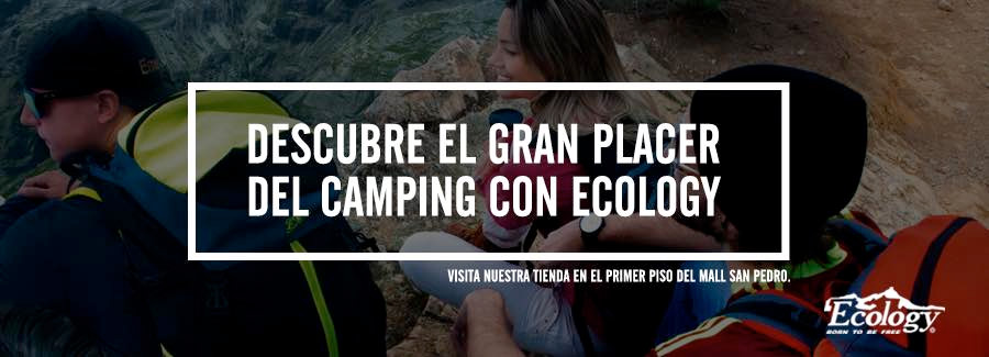 Css Template Preview