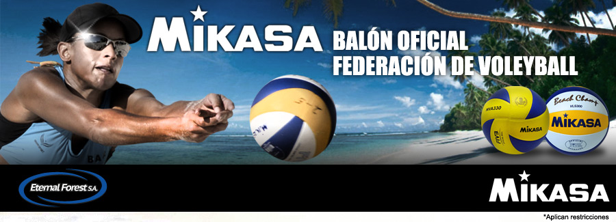 Css Template Preview